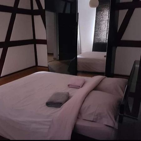 Spacious Appartement Colmar 2 Exterior foto