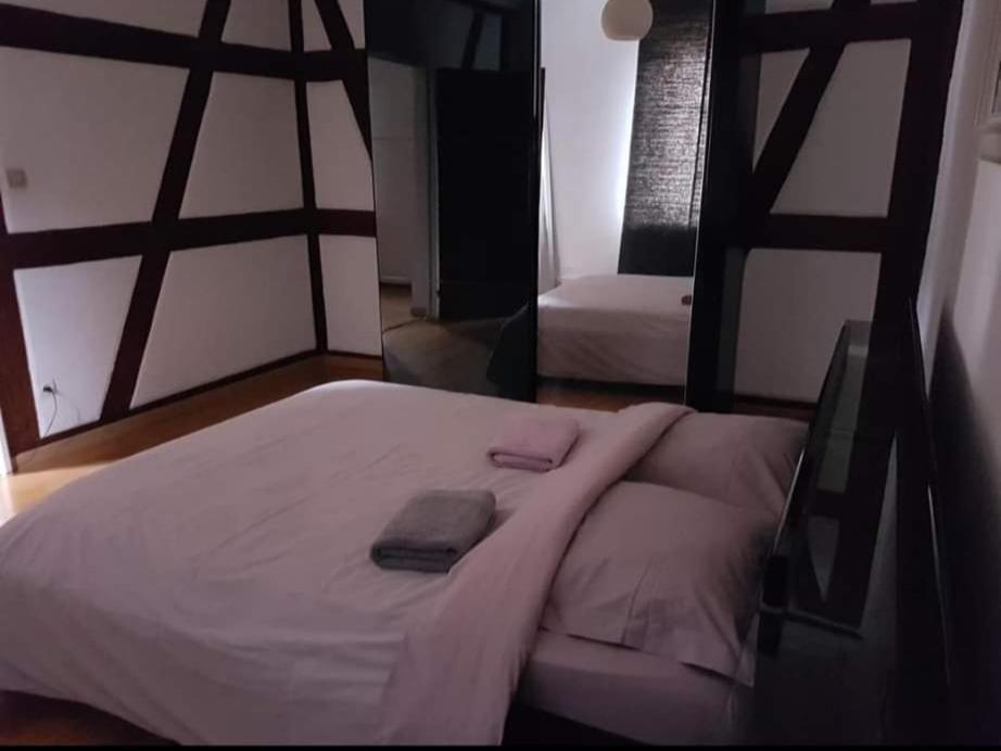Spacious Appartement Colmar 2 Exterior foto